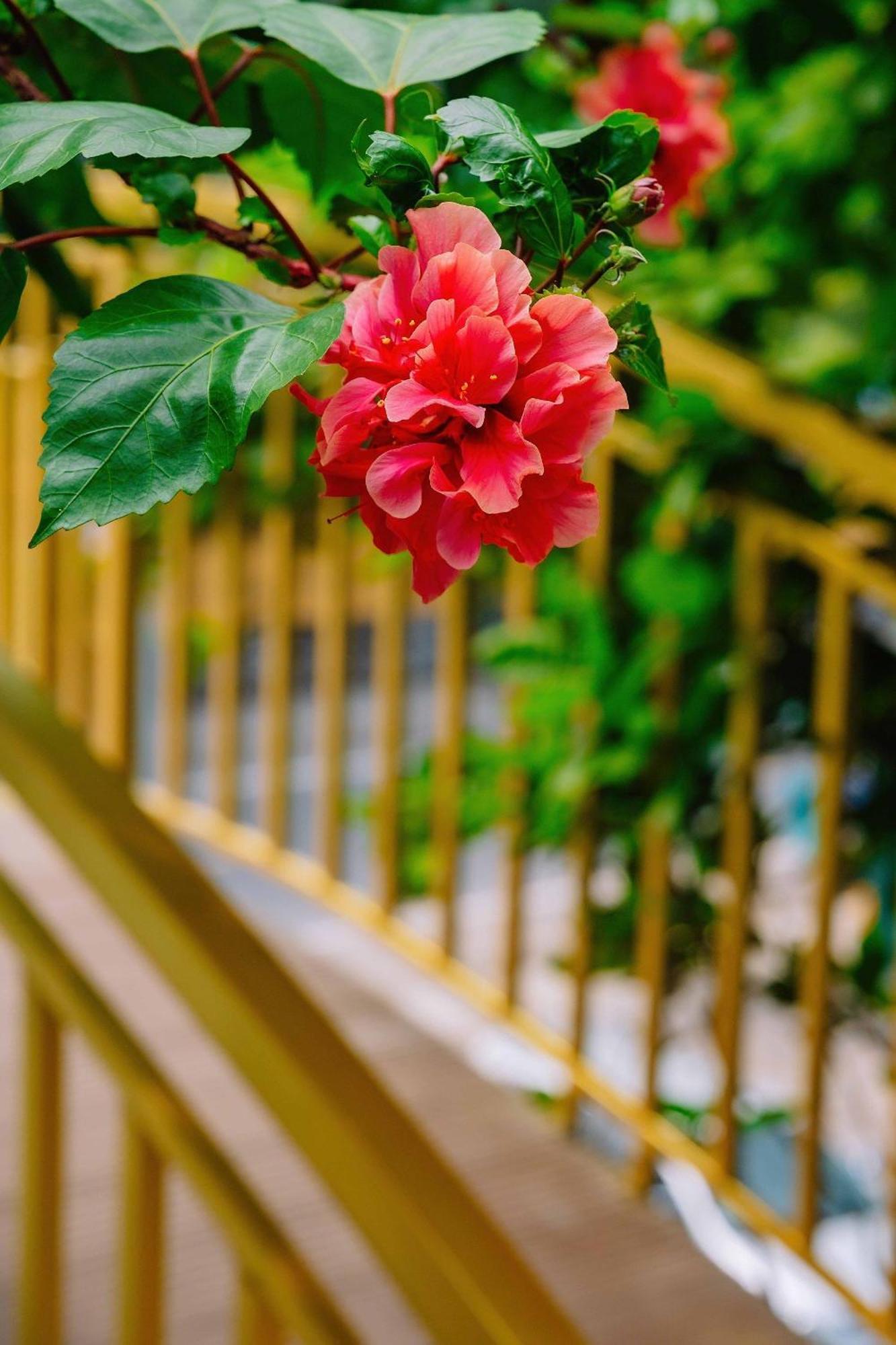 Ecorest Villa Cat Ba Chan Chau Экстерьер фото